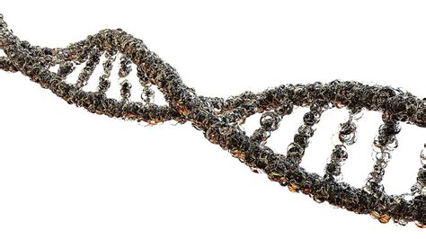 Gene ID mapping using R .